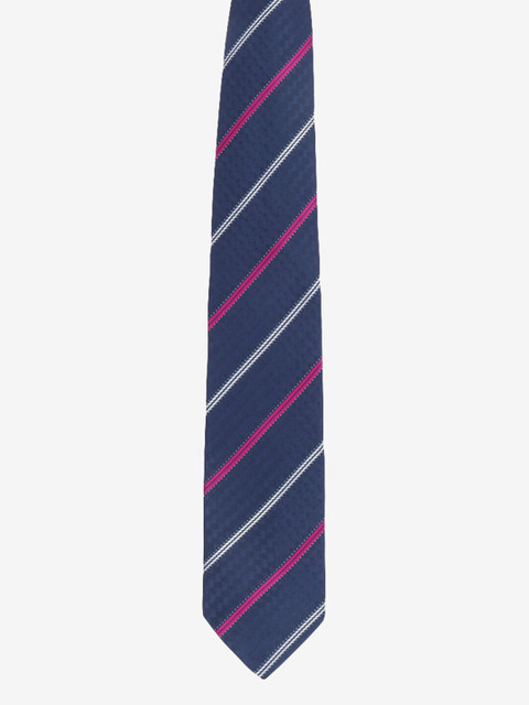 

Alvaro Castagnino Men Blue Striped