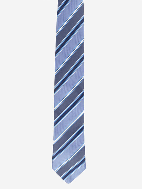

Alvaro Castagnino Men Blue Striped