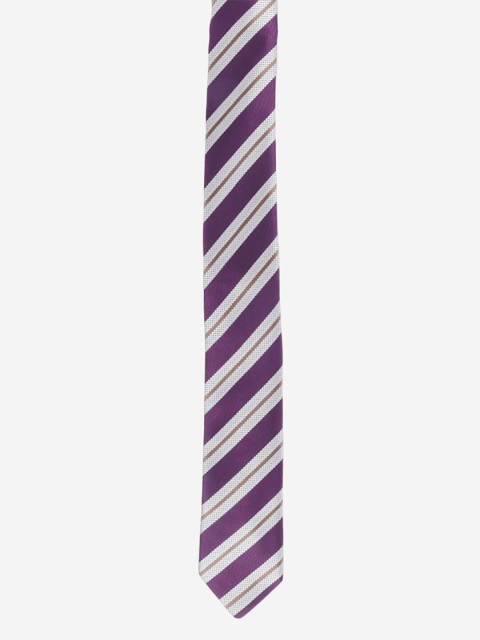 

Alvaro Castagnino Men Purple Striped