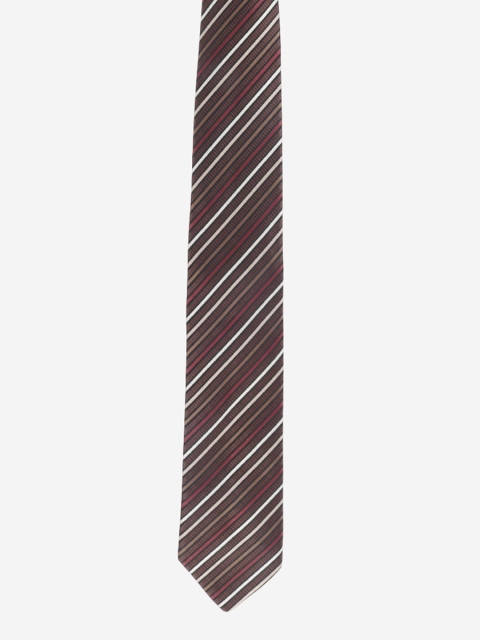 

Alvaro Castagnino Men Brown Striped