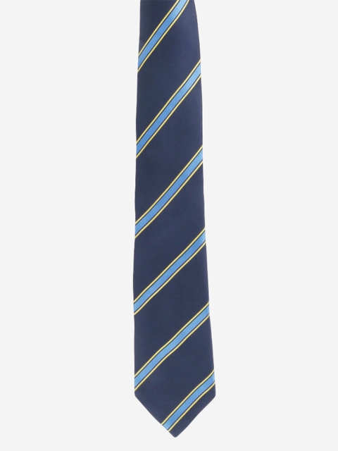 

Alvaro Castagnino Men Blue Striped, Navy blue