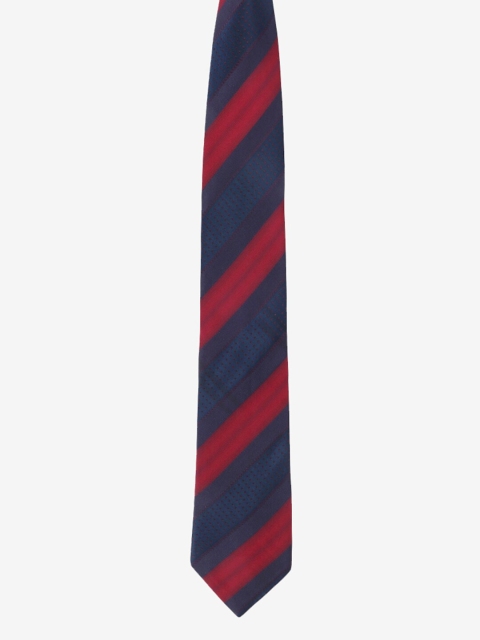 

Alvaro Castagnino Men Blue Striped