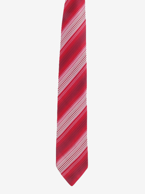 

Alvaro Castagnino Men Red & White Striped Broad Tie