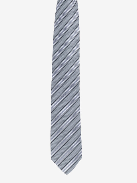 

Alvaro Castagnino Men Grey Striped