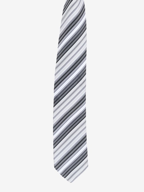 

Alvaro Castagnino Men Grey Striped