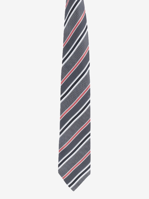 

Alvaro Castagnino Men Grey Striped