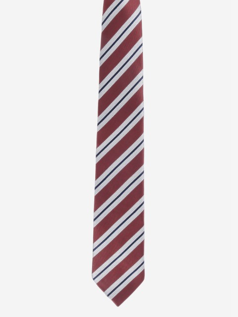 

Alvaro Castagnino Men Brown Striped