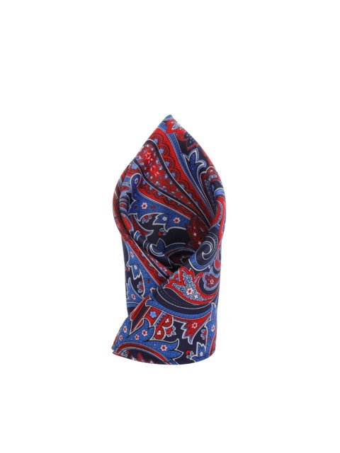 

Alvaro Castagnino Blue & Red Floral Print Pocket Square