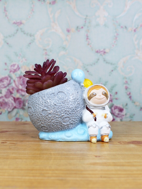 

Wonderland Grey & White Astronaut Hedgehog Succulent