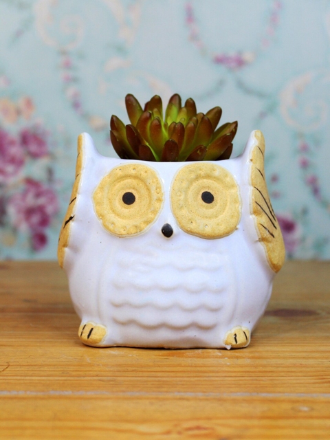 

Wonderland White & Beige Ceramic Owl Shaped Planter, Purple