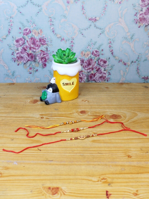 

Wonderland Yellow & Red Set Of 3 Rakhi With Sleepy Penguin Succulent Planter