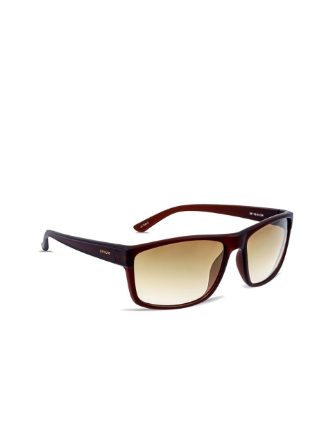 

OPIUM Men Brown Lens & Brown Wayfarer Sunglasses with UV Protected Lens OP-1815-C04