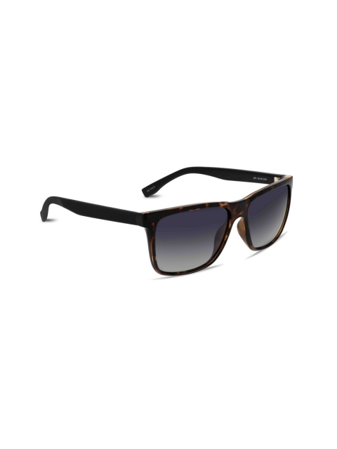 

OPIUM Men Brown & Black UV Protected Wayfarer Sunglasses OP-1818-C04-Brown Demi