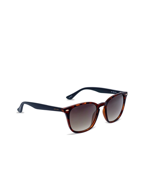 

OPIUM Men Brown Lens & Brown Full Rim Wayfarer Sunglasses OP-1593-C03-Brown Demi