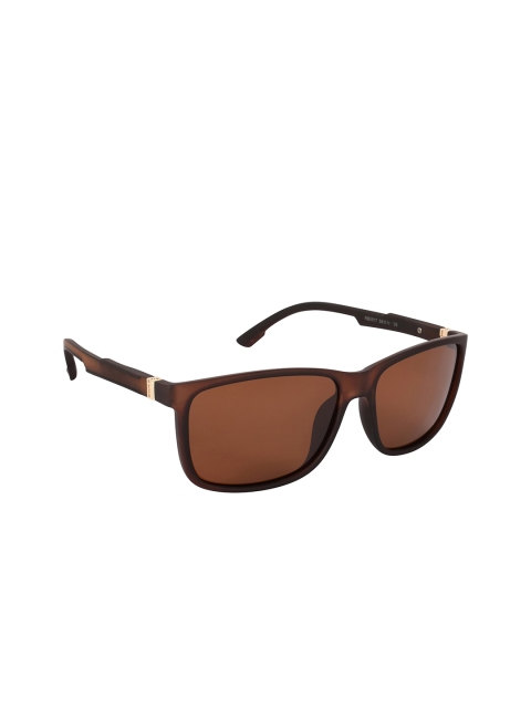 

AISLIN Unisex Brown Lens & Brown Wayfarer UV Protected Lens-14609-94-AS-5517