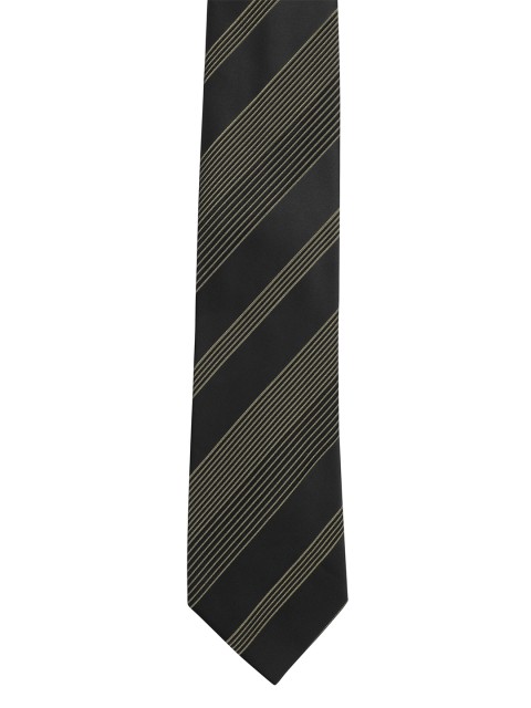 

Alvaro Castagnino Men Black & Green Striped Broad Tie