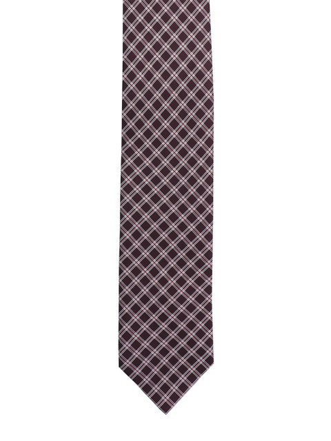 

Alvaro Castagnino Men Brown & White Checked Broad Tie