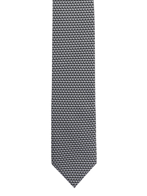 

Alvaro Castagnino Men Grey & Black Printed Broad Tie