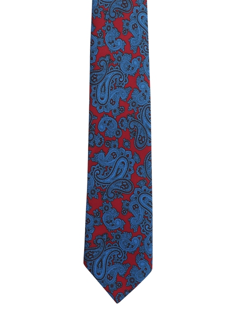 

Alvaro Castagnino Men Blue & Red Printed Broad Tie