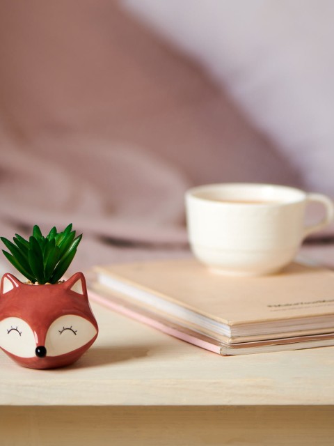 

Chumbak Brown & White Make it Fauxy Planter