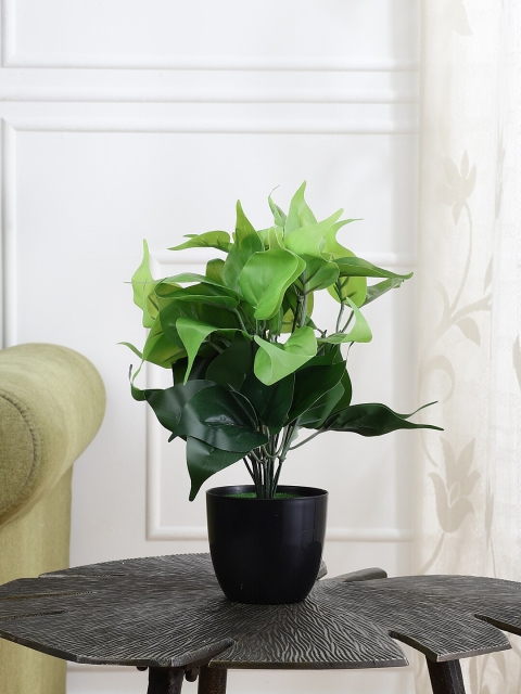 

FOLIYAJ Green & Black Artificial Garden Plant With Pot