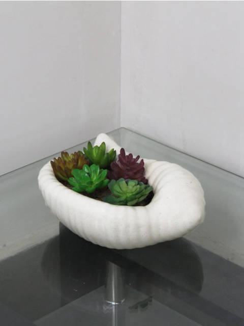 

Wonderland White Shankh Planter