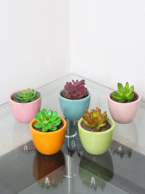 

Wonderland Set Of 5 Planters, Green