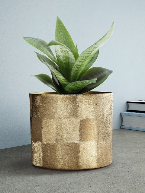 

Living scapes by Pantaloons Gold-Toned Hammered Textured Vase