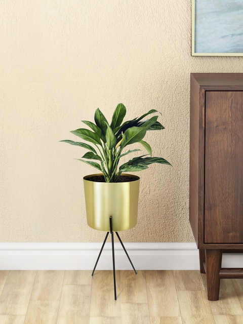 

Living scapes by Pantaloons Gold-Toned & Black Solid Metal Planter with Stand