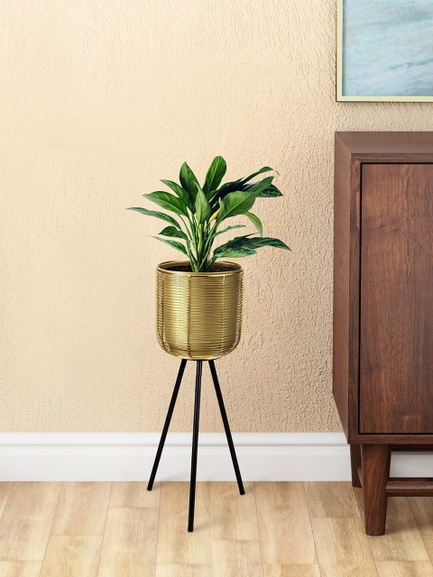 

Living scapes by Pantaloons Gold-Toned & Black Floor Planters With Stand