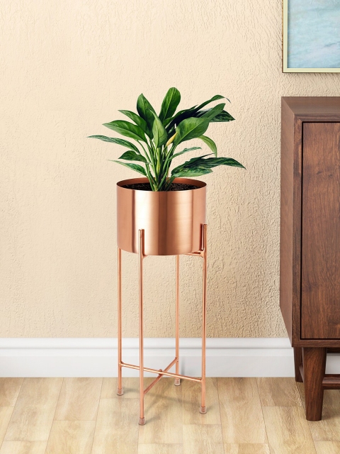 

Living scapes by Pantaloons Rose Gold-Toned Solid Metal Planter with Stand