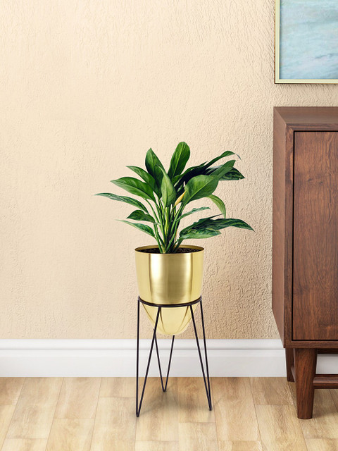 

Living Scapes By Pantaloons Gold-Toned Solid Planter With Stand