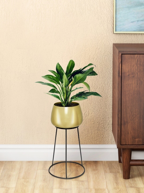 

Living scapes by Pantaloons Gold-Toned & Black Solid Metal Planter
