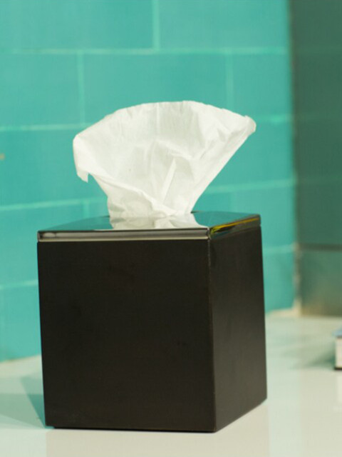 

ARTTDINOX Brown & Silver-Toned Solid Stainless Steel Folded Tissue Box