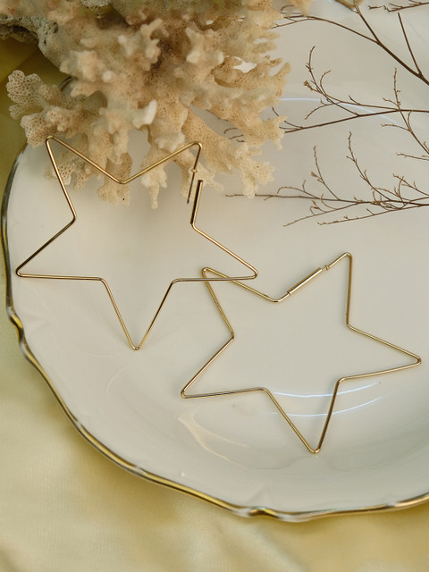 

Ayesha Gold-Toned Contemporary Drop Earrings