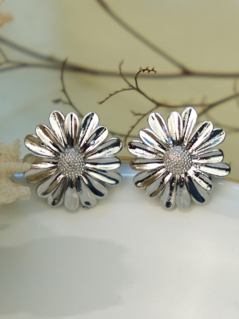 

Ayesha Silver-Toned Contemporary Studs Earrings