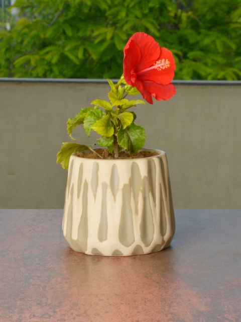 

StyleMyWay Olive-Green & Off-White Textured Ceramic Planter