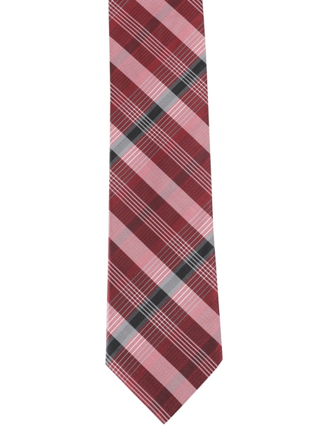 

Alvaro Castagnino Men Maroon Printed Necktie