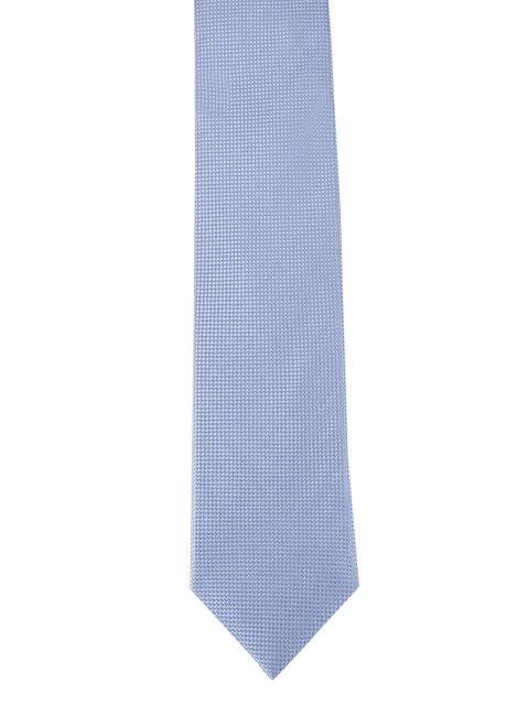 

Alvaro Castagnino Men Blue Self Design Broad Necktie