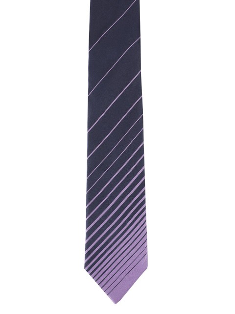 

Alvaro Castagnino Men Purple & Navy Blue Striped Skinny Tie