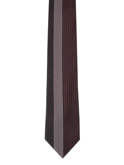 

Alvaro Castagnino Men Maroon Printed Necktie