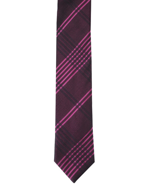 

Alvaro Castagnino Men Maroon Printed Necktie