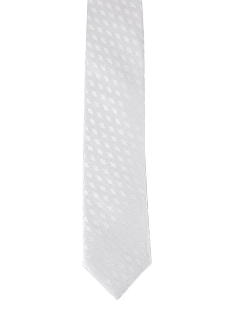 

Alvaro Castagnino Men Grey Printed Tie