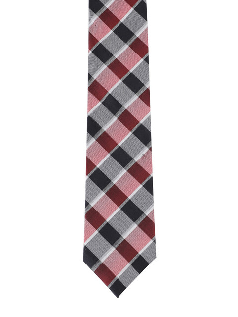 

Alvaro Castagnino Men Grey & Pink Checked Printed Broad Tie