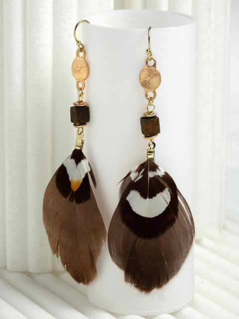 

CRZ Gold-Plated & Brown Feather Shaped Drop Earrings