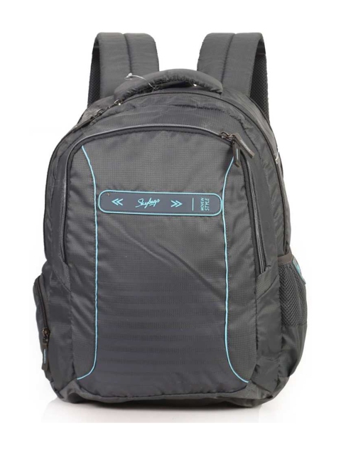 

Skybags Unisex Grey Striped 15 Inch Laptop Backpack