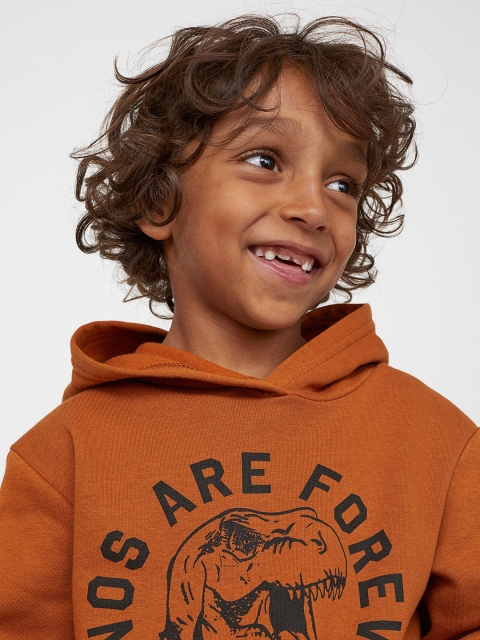 

H&M Boys Brown Printed Hoodie