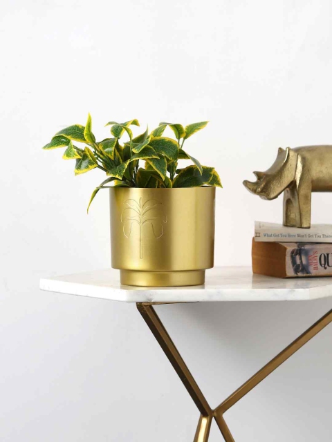 

Amoliconcepts Gold-Toned Planter