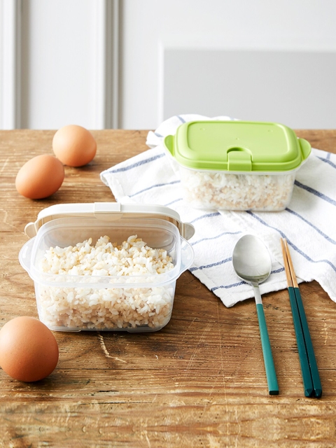 

Lock & Lock Set Of 2 Transparent & Green Solid Plastic Food Containers