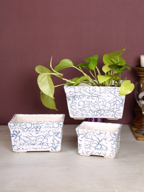 

Aapno Rajasthan Set Of 3 White & Blue Textured Ceremic Square Planters